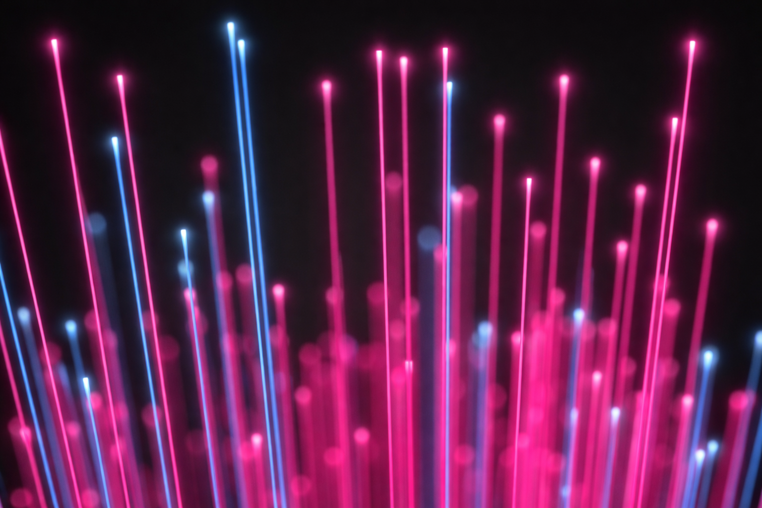 chatgpt image mar 12, 2026, 12 10 44 am