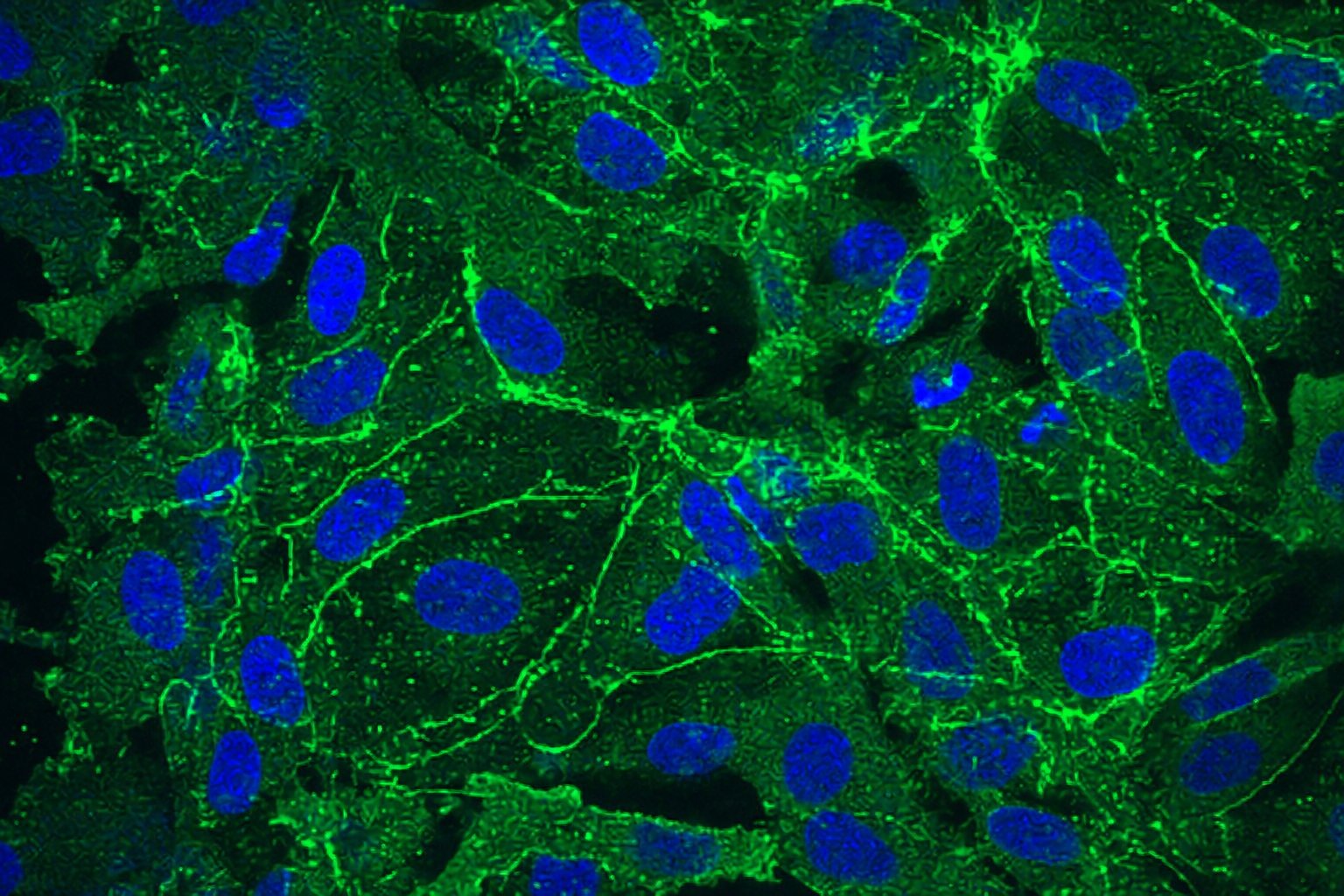 chatgpt image mar 14, 2026, 01 52 59 am