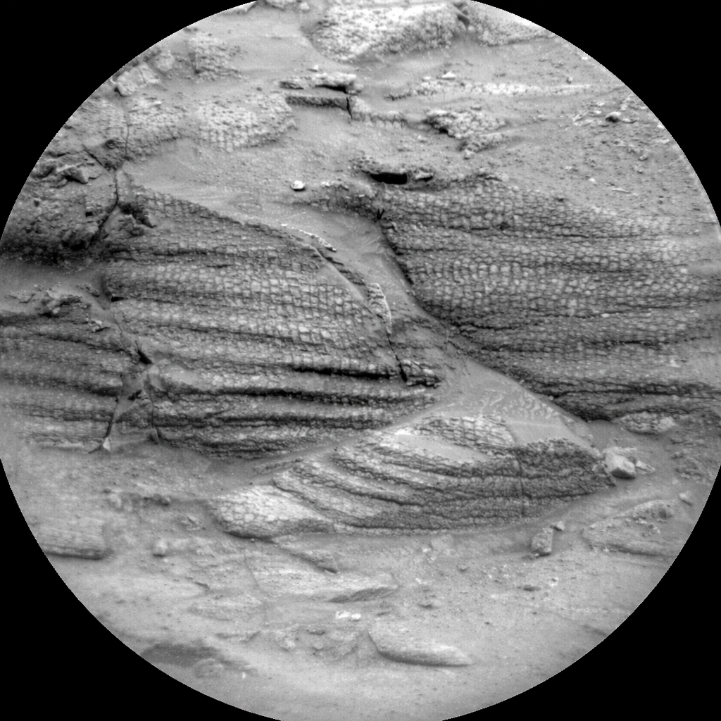 chatgpt image mar 15, 2026, 01 27 33 am