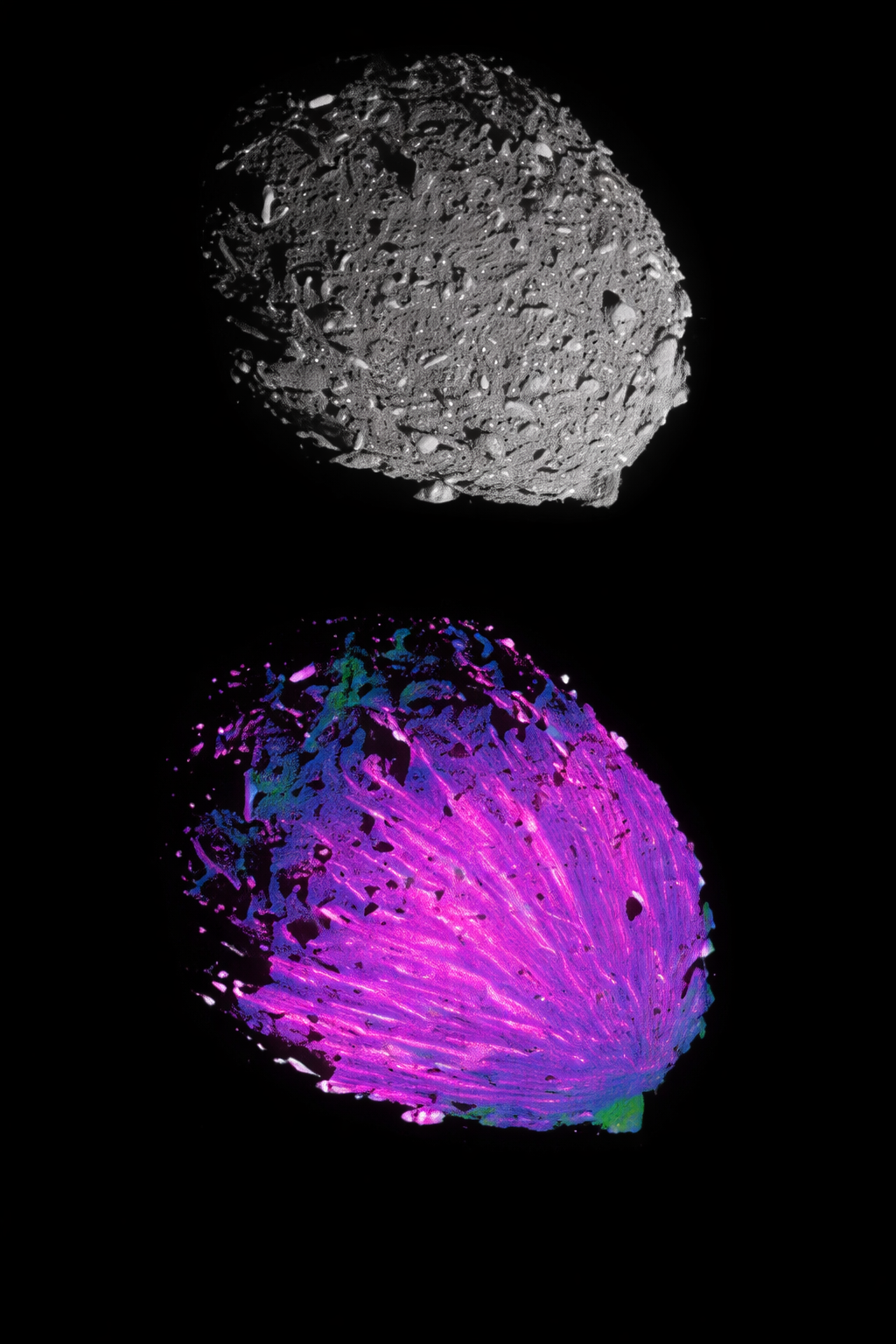 chatgpt image mar 8, 2026, 02 34 20 am