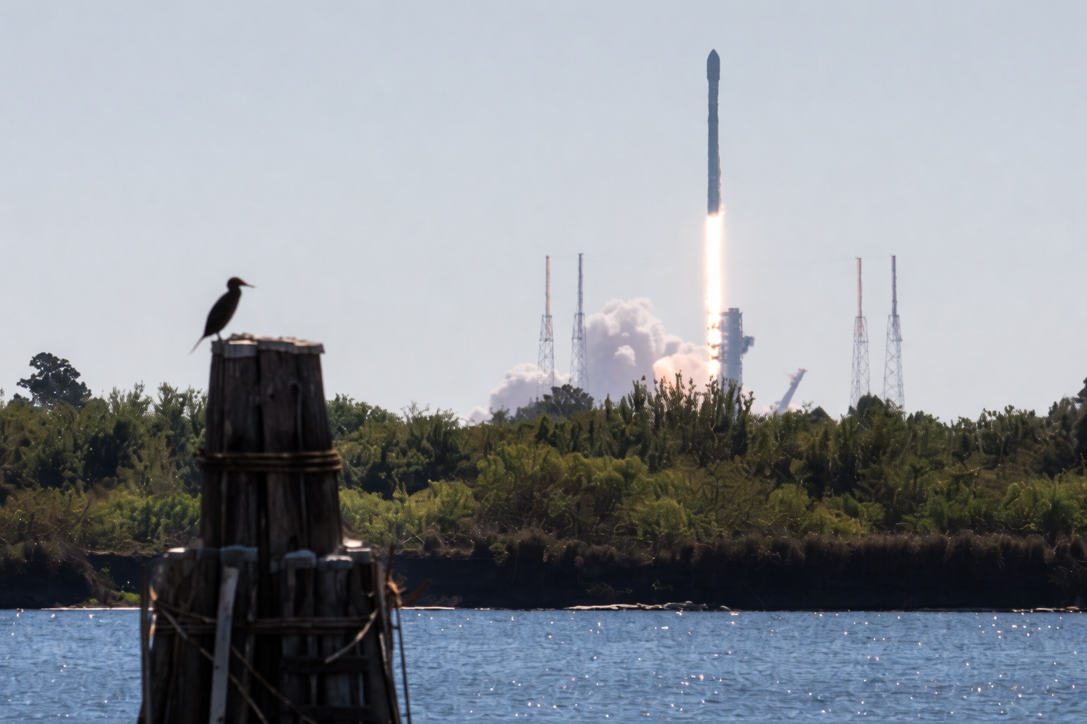 heron watches falcon 9 launch